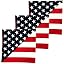 American Flag - 3 Pack