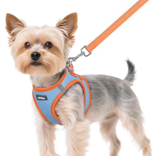 rabbitgoo Step-In Harness & Leash Set (Light Blue & Orange, XS)