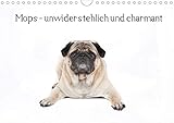 Autor(in): Verena Scholze Mops - unwiderstehlich und charmant (Wandkalender 2021 DIN A4 quer)