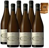 José Pariente - Envío Gratis 24H - DO Rueda - Vino Regalo - Cosecha Privada (6 x Botella 75 cl, Fermentado en Barrica)