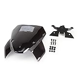 Puig 20886F NEW GENERATION SPORT [DARK SMOKE] ステー付 S1000R (21-22) プーチ スクリーン カウル