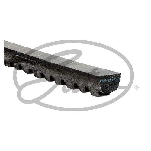 Cinghia Trapezoidale 13x1016 Li - A40, Norma DIN 2215, Neoprene E Poliestere - Foto 4