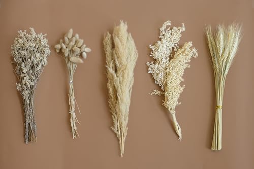 Image of Dried Flower Set for Home Decor | Pampas Grass, Pinecones, Bunny Tails & Natural Botanicals | Elegant Vase Decoration for Living Room & Table