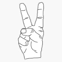 Peace Out Vinyl Waterproof Sticker Decal Car Laptop Wall Window Bumper Sticker 5"