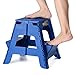 Acko 2-in-1 Dual Purpose Stool Two Step Ladder Durable Plastic Folding Stool with Pedal Easy Storage 15 Inches Height 350 lbs Capability Blue Color