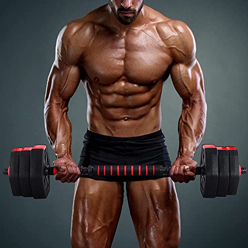 BRAVE HEART Adjustable Dumbbell Barbell Weight Pair Total 44 LBS, Dumbellsweights Set, Free Weights Dumbbells 2 in 1 Sets with Connector, Adjustable Weights Dumbbells Set for Home Gym