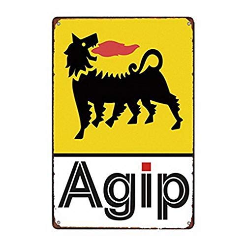 2677 TARGA METALLICA CON PRINCIPI FONDAMENTALI DEL CAPO
