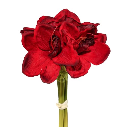 CREATIV green Amaryllis Bund 32cm in dunkelrot I Weihnachtsdeko...