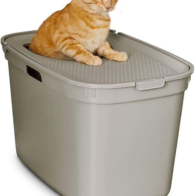 Arenero cerrado para gatos So Phresh, grande, tan miniatura 4