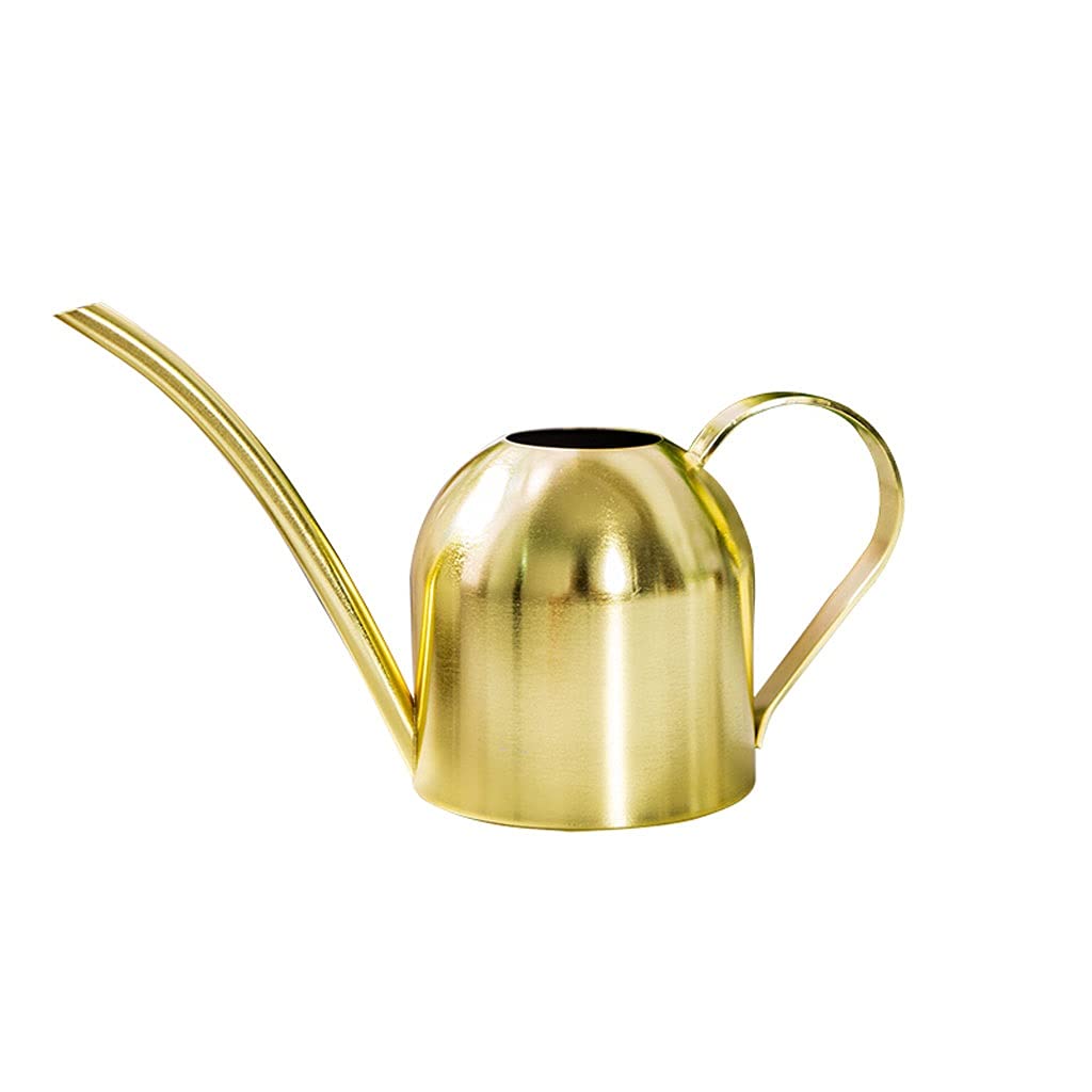 Liudan Konewka ze stali nierdzewnej długa wylewka, mały donica, złote małe konewki do sukulentów bonsai, puszka na wodę 900 ml (kolor: Złoty)