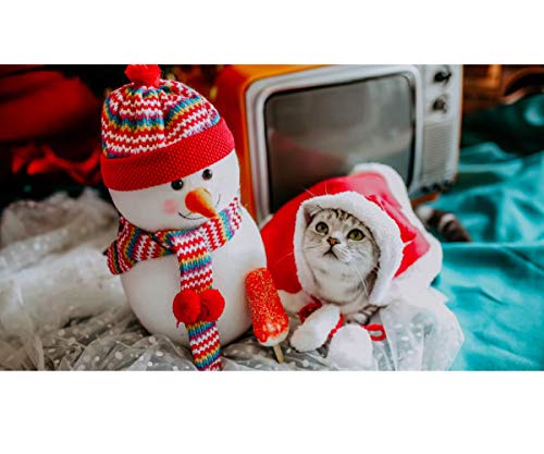 Stock Show Pet Christmas Costume Funny Dog Cat Santa Cloak Costume Pet Winter Fleece Super Cute Hoodie Poncho Puppy Hooded Coat Warm Xmas Clothes Party Holiday Pet Apparel for Small Dogs Cats
