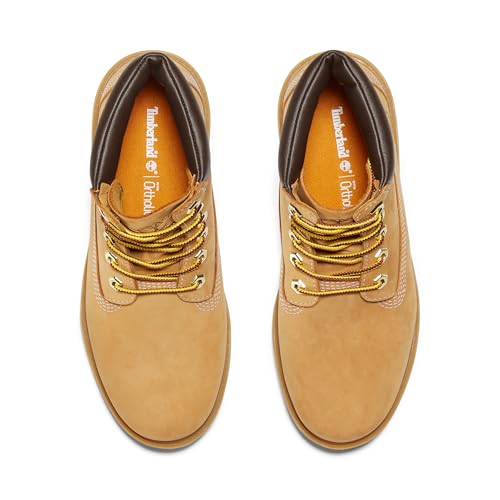 Timberland Women's Linden Woods 6-inch Lace-up Waterproof Boot Fashion3