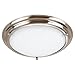 Sea Gull Lighting 79233BLE-98 4-Light Centra Fluorescent Flush Ceiling Fixture, Satin White Glass and Brushed Stainless