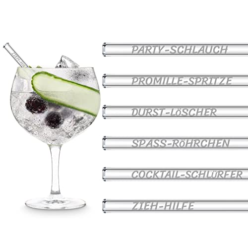 HALM Glasstrohhalme 6 Stück graviert: Lustige Trinksprüche Strohhalm Namen - Strohhalme 15 cm - Cocktail Party Geschenkidee - Stabil - Spülmaschinenfest - Made in Germany