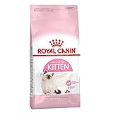 alimento royal canin gatos  Royal Canin Feline Kitten 36 4 kg