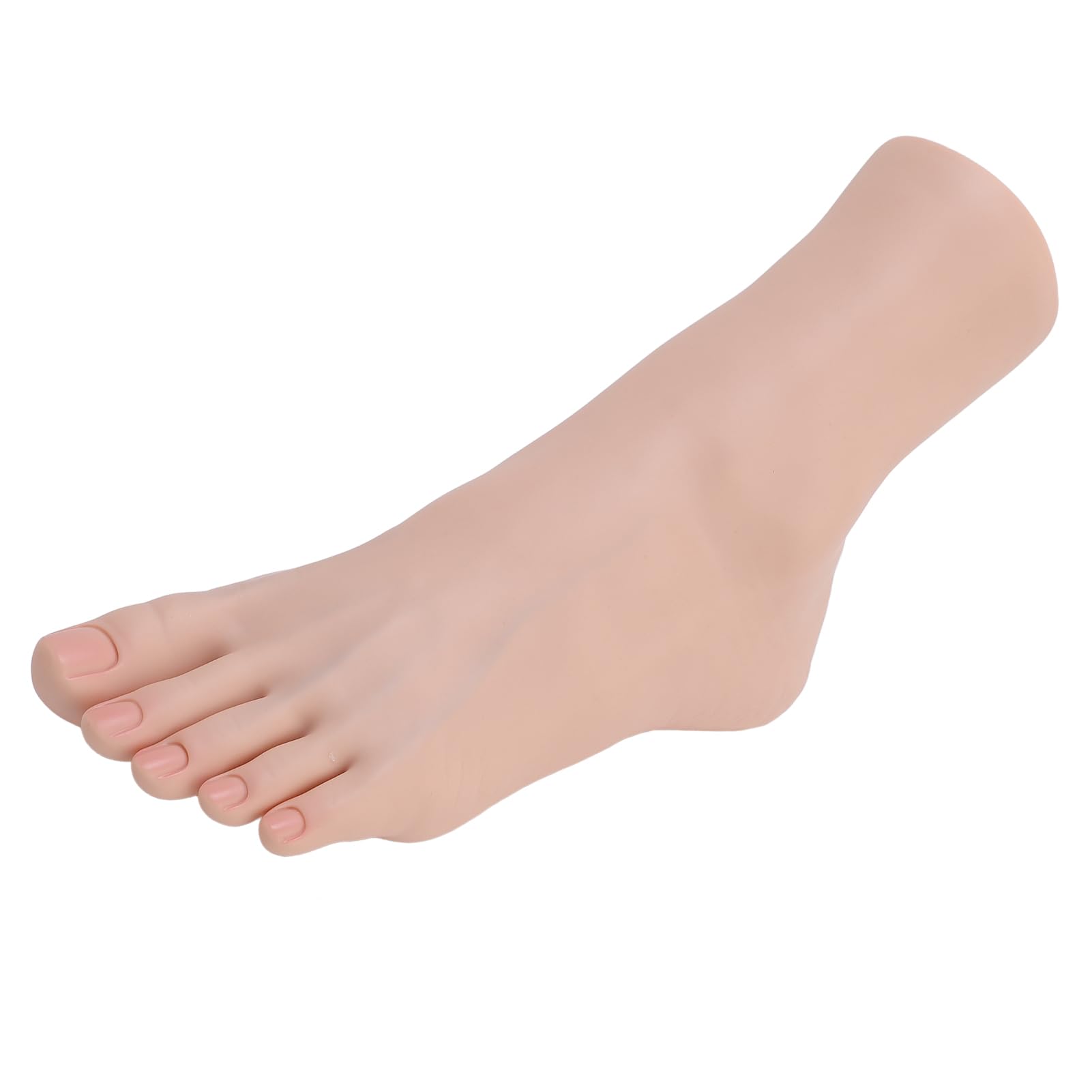 Manichino del Piede in Silicone con Strutture Muscolari e Ossee Realistiche