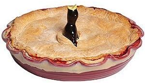 Foxrun 219 Pie Vent Black Bird