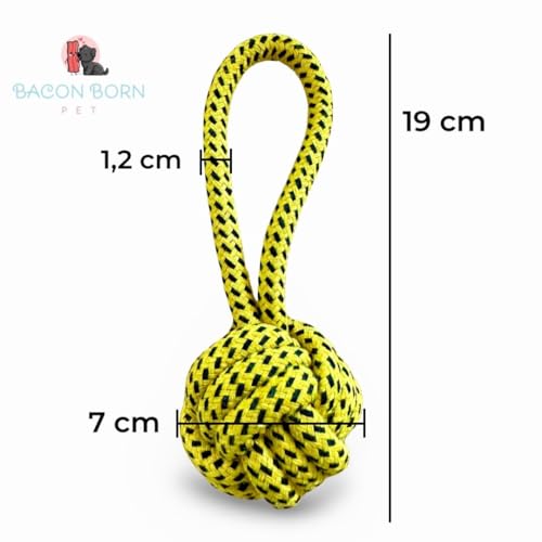 Brinquedo Cachorro Pet Cães Corda Pequena com puxador Mordedor Pet Cães Cachorros Shitzu Pinscher Lh