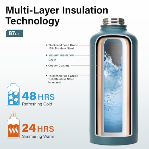 Insulated Water Bottle | Thickened Stainless Steel for Gym and Hiking with Straw, Carrier Bag, Handle Strap | BPA-Free 87 oz