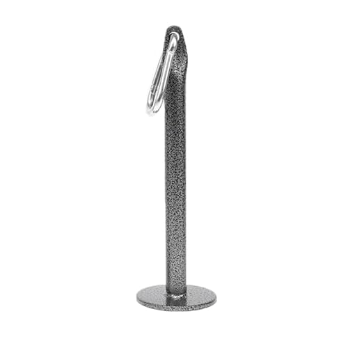 Steel Weight Tray Rack for Barbell Disks and Grip Trainers
