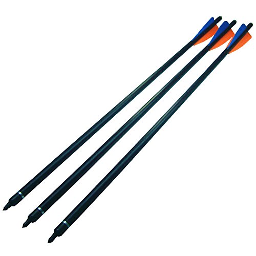 Fay Outdoor Sport 12Pk Crossbow Bolts Fiberglass Arrows With Metal Arrowheads And Aluminum Half Moon Nock For Archery Hunting (16 Inch & 125 Grain Tips) #TOP2