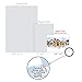 The Best Card Company - 10 Blank Animal Cards Boxed (4 x 5.12 Inch) - Assorted Pets, Zoo, Wildlife Cards for Men and Women - Off the Leash M6641OCB