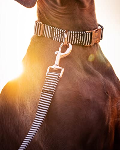 FREUDENTIER® Hundehalsband & Hundeleine aus Canvas im Set - 2m lang & 3-Fach verstellbar - Lighthouse Kollektion (30-42cm, Schwarz/Weiss)
