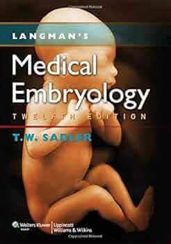 Langman&#39;s Medical Embryology [ペーパーバック] Sadler PhD， Dr. T.W. Amazon.com: Langman's Medical Embryology eBook : Sadler