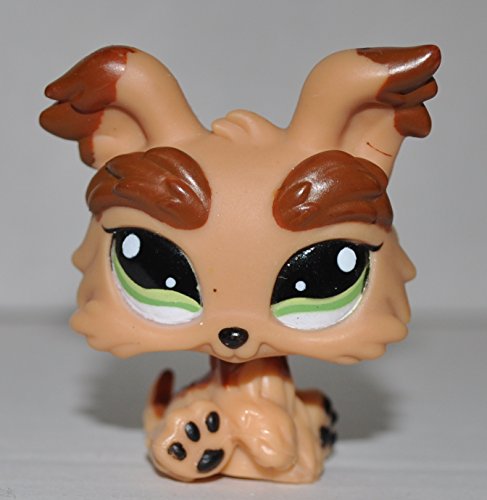 Yorkie #1016 (Tan, Green Eyes, Brown Patches) - Littlest Pet Shop (Retired) Collector Toy - LPS Collectible Replacement Single Figure - Loose (OOP Out of Package & Print)
