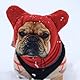 Folpus Hundehaube Wintermütze Ohrenschützer Kostüm Haustier Winterhaube Hüte Hundeohren Abdeckung für mittelgroße bis große Hunde Haustiere Welpen Camping, Rot M