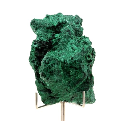 Malachite brute du Katanga de 540 carats pour collectionneur de minéraux du Congo - 4