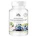 Produktbild Anthocyane aus Heidelbeerextrakt 25% - 90 Kapseln - vegan | HERBADIREKT by Warnke Vitalstoffe - Deutsche Apothekenqualität
