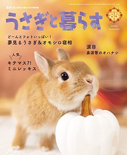 うさぎと暮らす No.85
