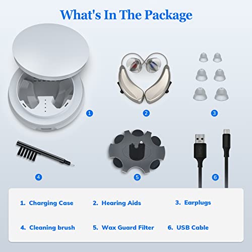 Bsllter Rechargeable Hearing Aids With Three Modes, Otc Digital Hearing Aids Noise Cancelling For Seniors Hearing Loss, Receiver-In-Canal(Ric), Dual Microphone (Champagne) #TOP6