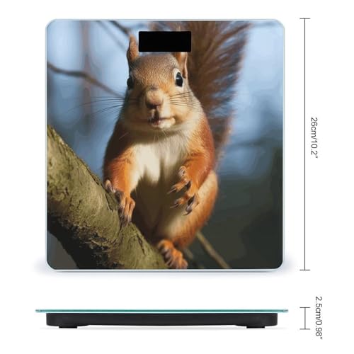 Báscula Digital de Baño con Diseño de Ardilla 400lb LCD miniatura 2