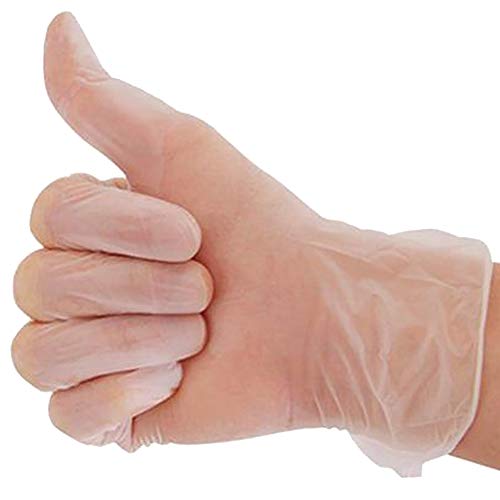 Powder-Free. Vinyl Gloves. 100 Gloves. (Transparent, M)