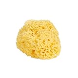 Dnins 4011 - Esponja natural, tamaño grande