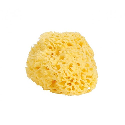 Dnins 4011 - Esponja natural, tamaño grande