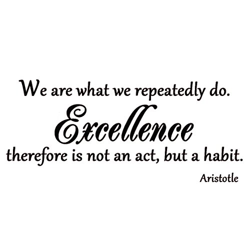 We are What we Repeatedly do, Inspirational Wall Art Quote