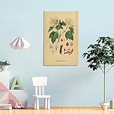 Regale carteles de vegetales retro e impresiones artísticas de plantas a todos los que se preocupan por usted o se preocupan por usted, a modo de bendición. Como una idea de regalo navideña interesante y no tradicional o un recuerdo familiar, este arte también se puede utilizar como regalo de inauguración de la casa, regalo de cumpleaños o símbolo simple para ayudar a crear una atmósfera cálida y armoniosa.