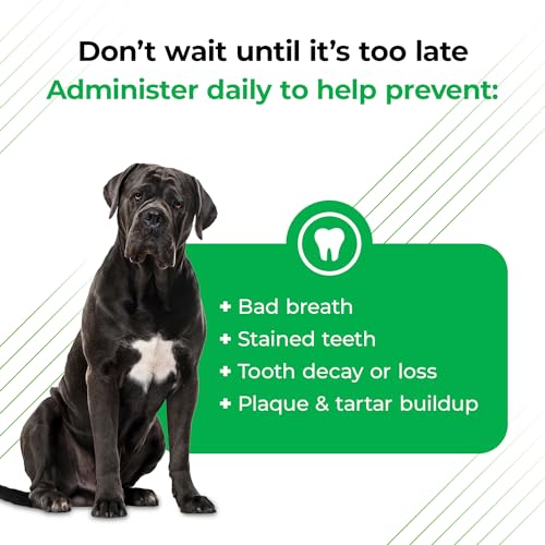 Vetriscience Perio Support Cat  Dog Teeth Cleaning Dental Powder 42oz  Cat  Dog Breath Freshener  Clinically Proven Plaque and Tartar Support  Cucciolini Doodles Vetriscience perio support cat  dog teeth cleaning dental powder 4 2oz  cat  dog breath freshener  clinically proven plaque and tartar support   cucciolini doodles