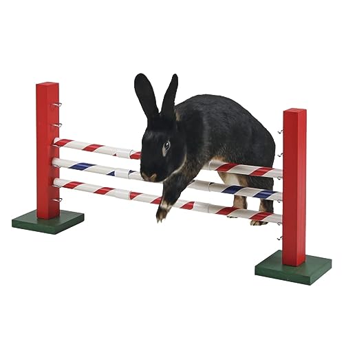 Kerbl 82859 Agility Steilsprung für Nager, 70 x 5 x 35 cm, 1 Stück (1er Pack)