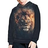 Zanxiantu Cool Lion Boys Hoodie Size 8-10 Kids Long Sleeve Hoodie Sweatshirt with Pocket Fashion Pullover Tops Black Streetwear Hoodies for Daily