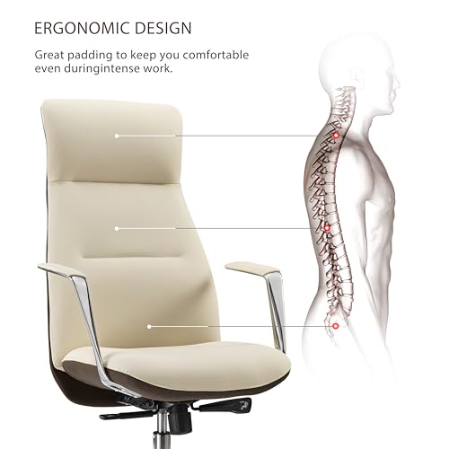 Image of EUREKA ERGONOMIC Executive Office Chair, Silicone Leather Office Chair High Back, Ergonomic Desk Chair, Big and Tall with Adjustable Swivel Rolling for Home Office, Off-White