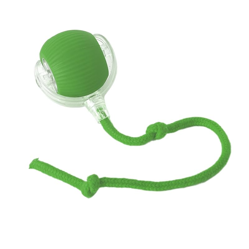 SWZEC ChaseMate Engaging Automated Cat Chaser Happy-Poppy (1Green)
