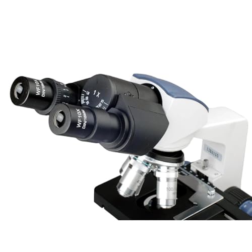 Image of AmScope B120C-WM Siedentopf Binocular Compound Microscope, 40X-2500X Magnification, Brightfield, LED Illumination, Abbe Condenser, Double-Layer Mechanical Stage, Includes Book