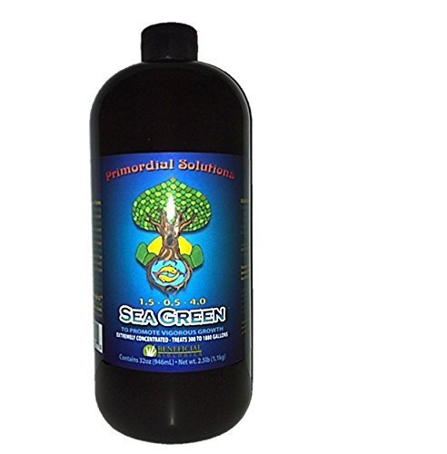 32oz Sea Green 1.0 - 0.5 - 4.0