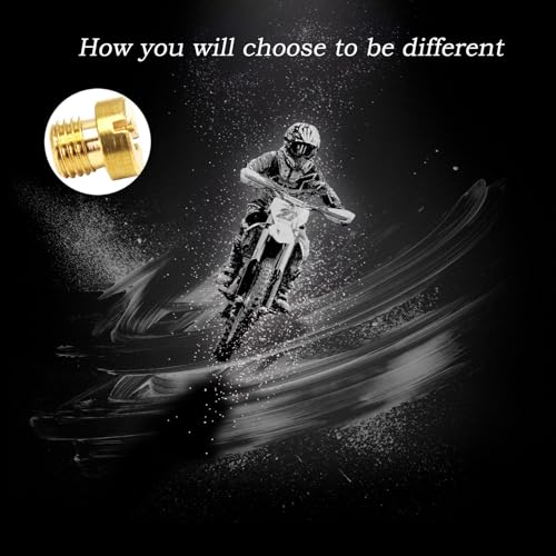 15 Stück Vergaser Hauptdüsen, Vergaser Düsen M6, Vergaserdüsen Ersatz #75-110 für DellOrto Vergaser PHBG PHBH PHBL FRD PHF VHB VHSH Einspritzdüse, fühlen Sie sich von Motorrad, ATV, UTV, Moped