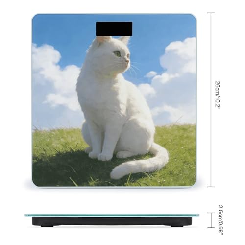 Báscula digital de baño con sensores precisos y pantalla LCD grande miniatura 2