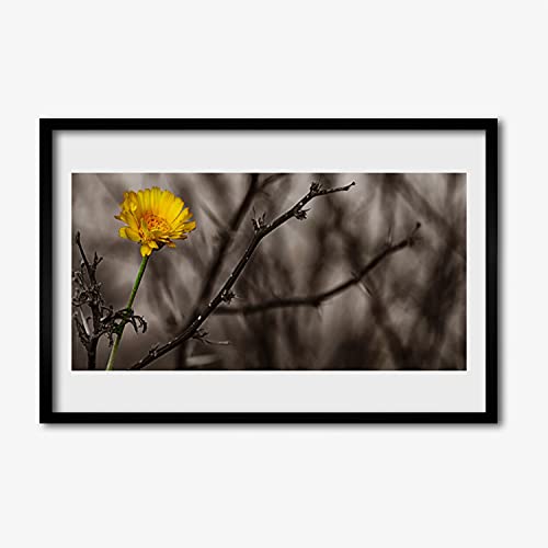 Affiche avec cadre en MDF rigide image murale fleur Tulup 60x40